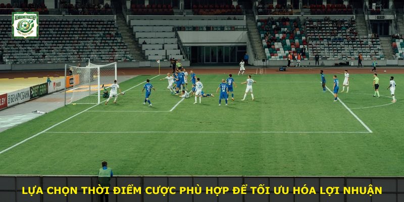 Lựa chọn thời điểm cược phù hợp để tối ưu hóa lợi nhuận