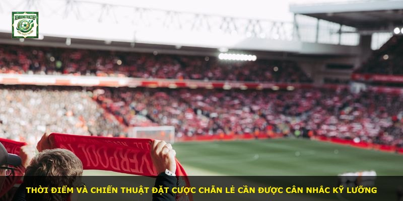 Thời điểm và chiến thuật đặt cược chẵn lẻ cần được cân nhắc kỹ lưỡng