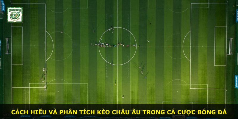 Cách hiểu và phân tích kèo Châu Âu trong cá cược bóng đá