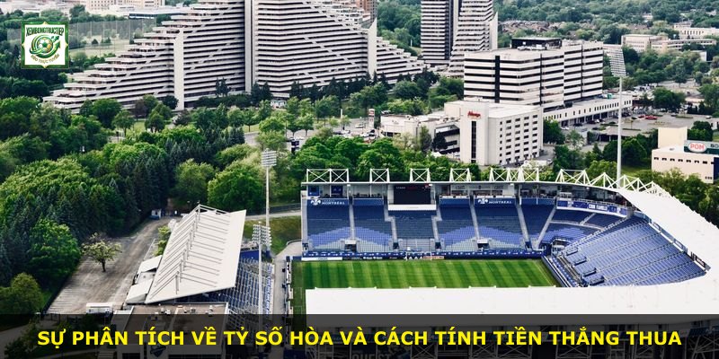 Sự phân tích về tỷ số hòa và cách tính tiền thắng thua