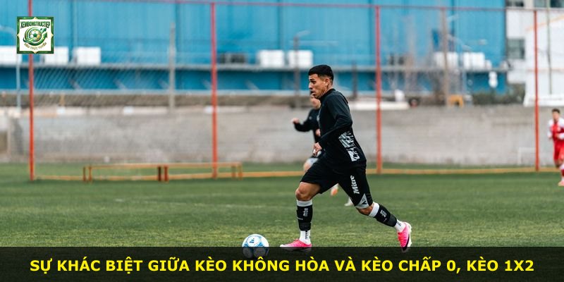 Sự khác biệt giữa kèo không hòa và kèo chấp 0, kèo 1X2