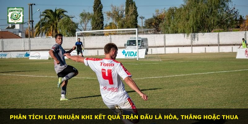 Phân tích lợi nhuận khi kết quả trận đấu là hòa, thắng hoặc thua