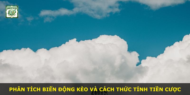 Phân tích biến động kèo và cách thức tính tiền cược