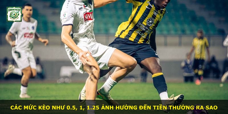 Các mức kèo như 0.5, 1, 1.25 ảnh hưởng đến tiền thưởng ra sao