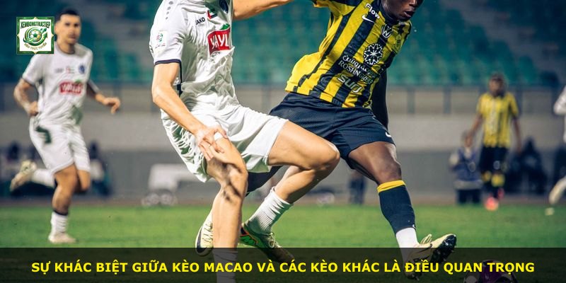 Sự khác biệt giữa Kèo Macao và các kèo khác là điều quan trọng