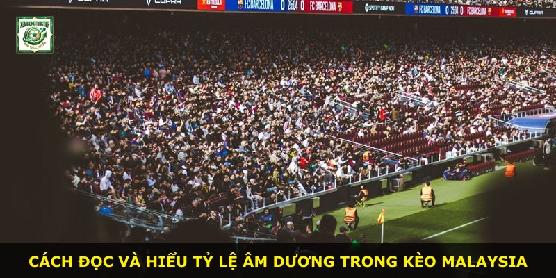 Cách đọc và hiểu tỷ lệ âm dương trong Kèo Malaysia