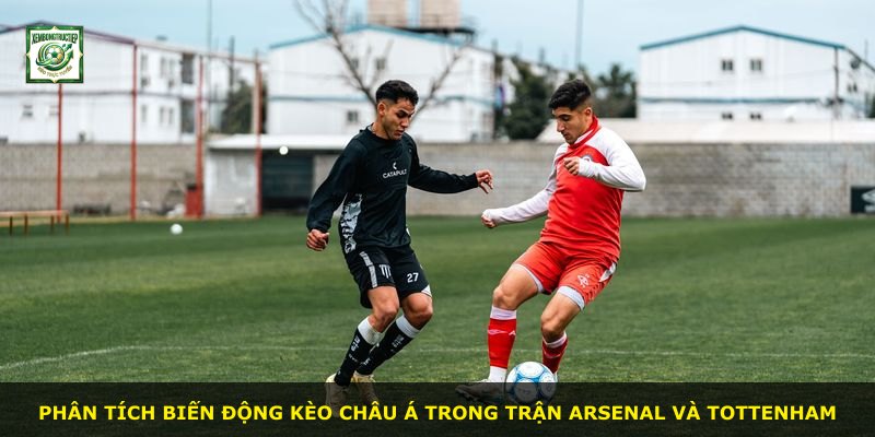 Phân tích biến động kèo châu Á trong trận Arsenal và Tottenham