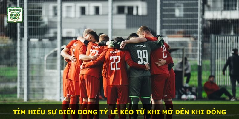 Tìm hiểu sự biến động tỷ lệ kèo từ khi mở đến khi đóng