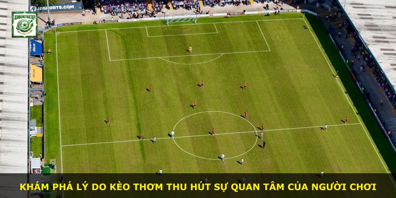 Khám phá lý do kèo thơm thu hút sự quan tâm của người chơi