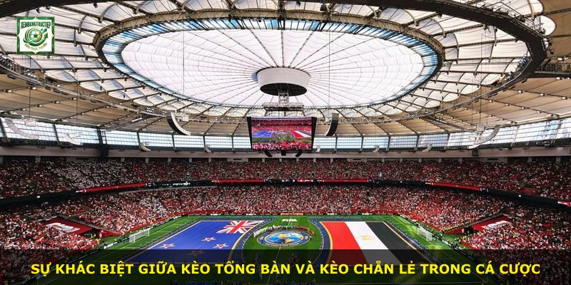 Sự khác biệt giữa kèo tổng bàn và kèo chẵn lẻ trong cá cược