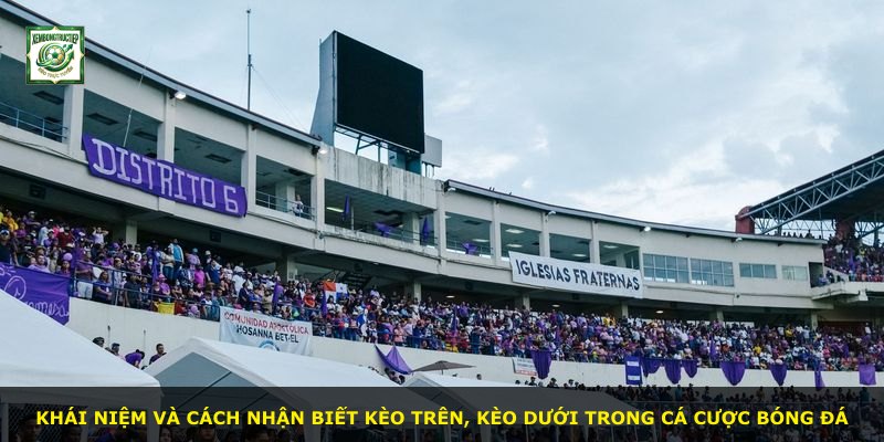 Khái niệm và cách nhận biết kèo trên, kèo dưới trong cá cược bóng đá