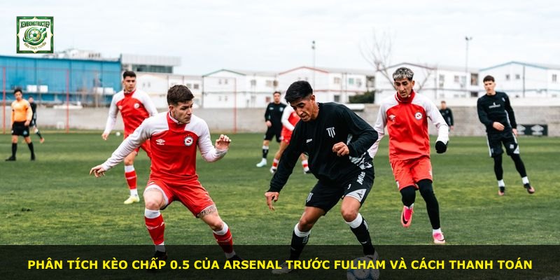Phân tích kèo chấp 0.5 của Arsenal trước Fulham và cách thanh toán