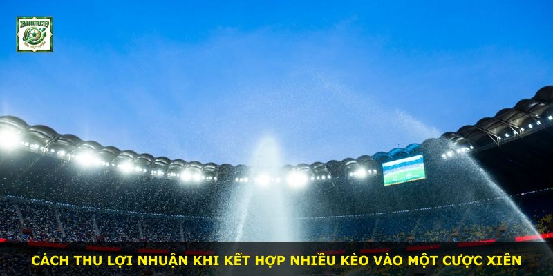 Cách thu lợi nhuận khi kết hợp nhiều kèo vào một cược Xiên