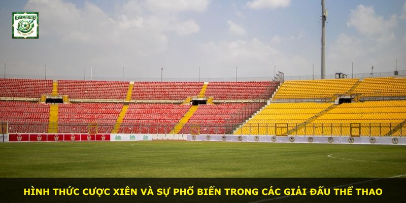 Hình thức cược Xiên và sự phổ biến trong các giải đấu thể thao