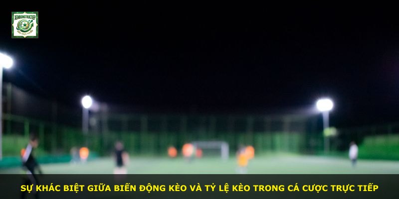 Sự khác biệt giữa biến động kèo và tỷ lệ kèo trong cá cược trực tiếp