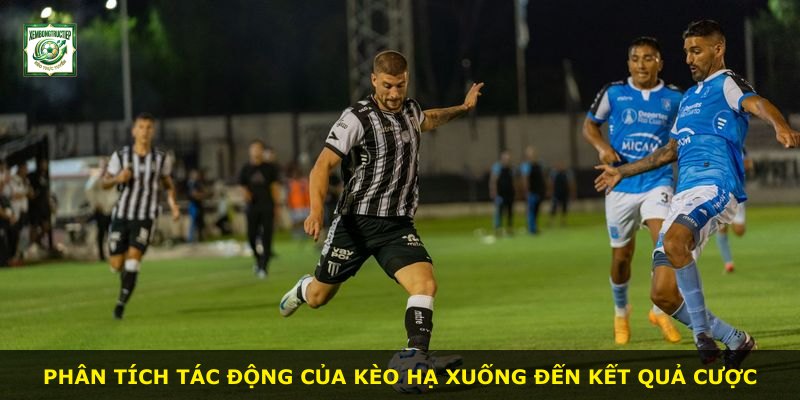 Phân tích tác động của kèo hạ xuống đến kết quả cược