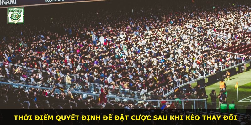 Thời điểm quyết định để đặt cược sau khi kèo thay đổi