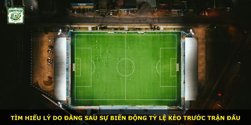 Tìm hiểu lý do đằng sau sự biến động tỷ lệ kèo trước trận đấu