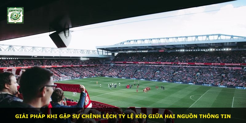 Giải pháp khi gặp sự chênh lệch tỷ lệ kèo giữa hai nguồn thông tin