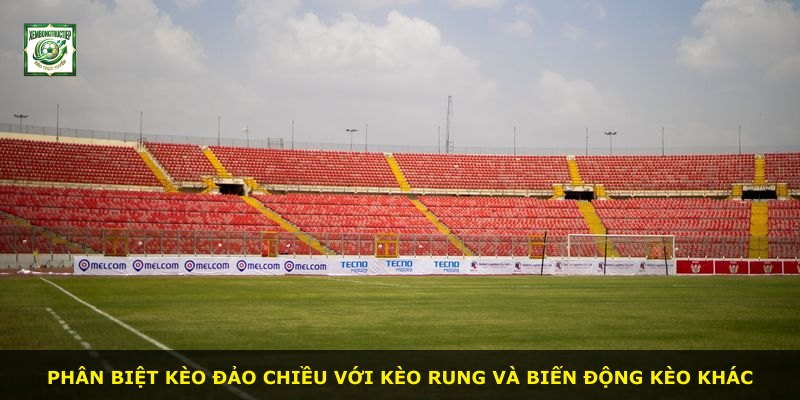Phân biệt kèo đảo chiều với kèo rung và biến động kèo khác