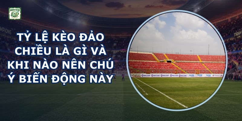 Tỷ Lệ Kèo Đảo Chiều